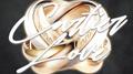 Cartier Love专辑