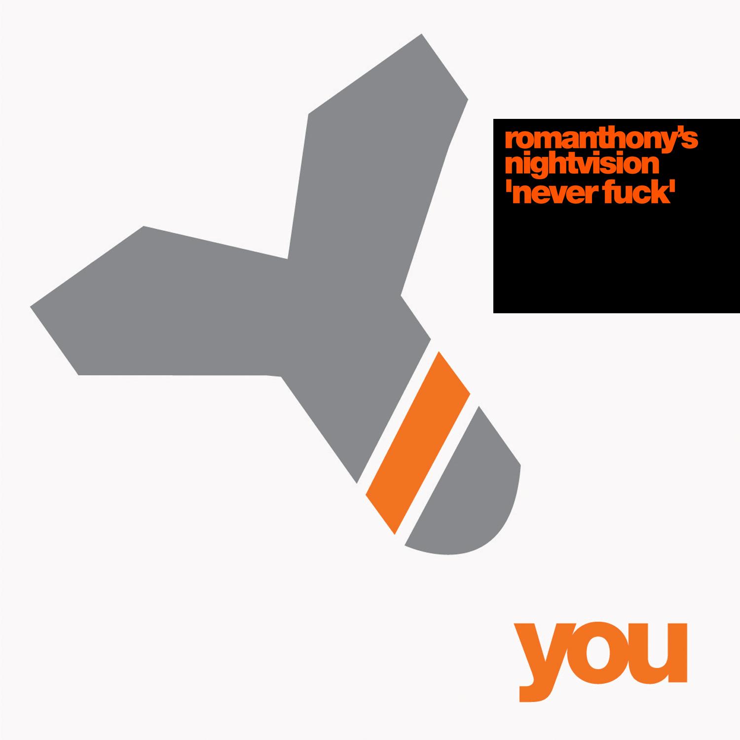 Never **** (Futureshock Remixes)
