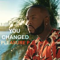 Pleasure P - You Changed (Instrumental) 无和声伴奏