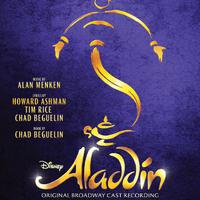 Aladdin (1992 film) - A Whole New World (Chinese version) ( 新的世界) (Karaoke Version) 无和声伴奏