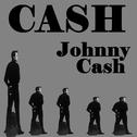 Cash