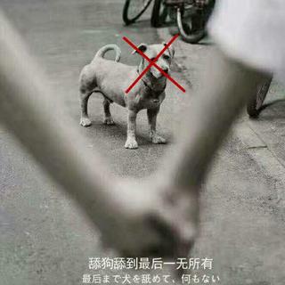 舔狗专用歌单