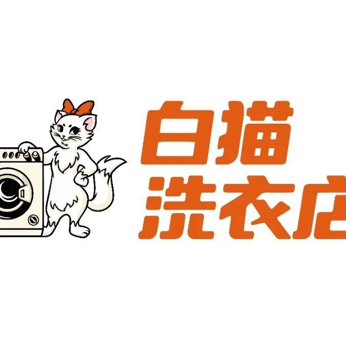 白猫洗衣店乐队巡礼
