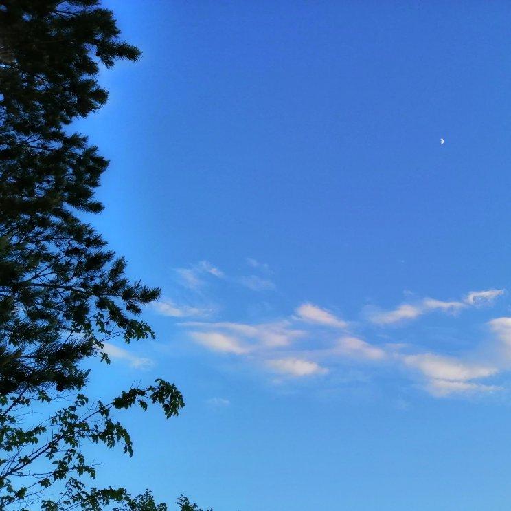 这个夏天想和你环游世界❤️