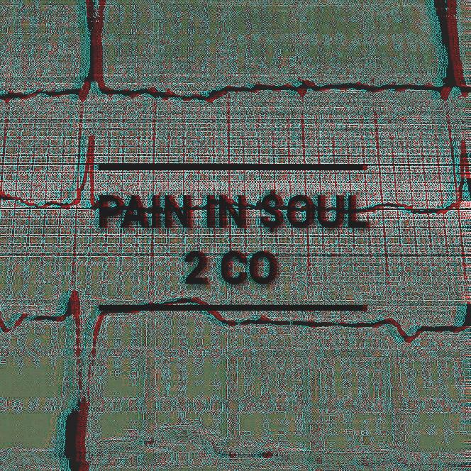 Pain in $oul专辑