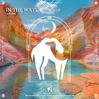 Gus One - In The Water (Feat Barbie Mak) (Cafe De Anatolia Lab)