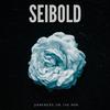 Seibold - No Turning Back (feat. Elder Sister)