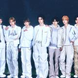 NouerA (누에라)