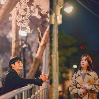 可能是个假 春夜 ♥ 봄밤 (OST＆BGM合辑)