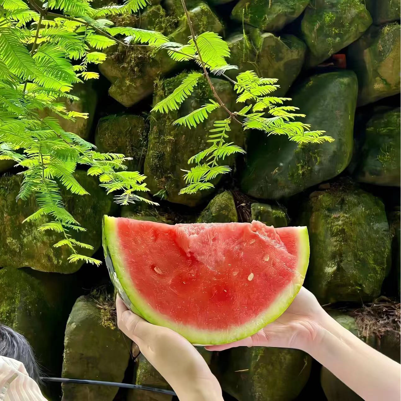 夏天