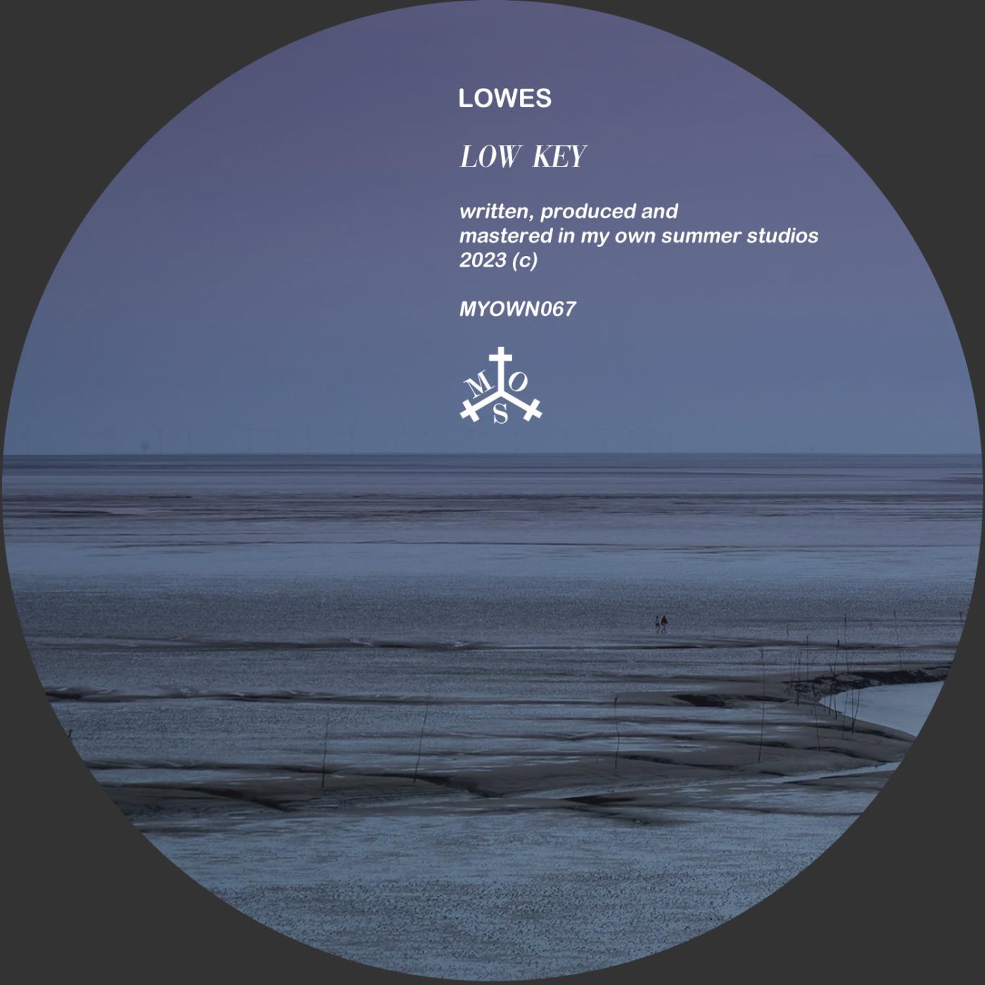 LOWES - Manipulated