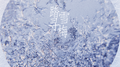 踏雪寻梅专辑