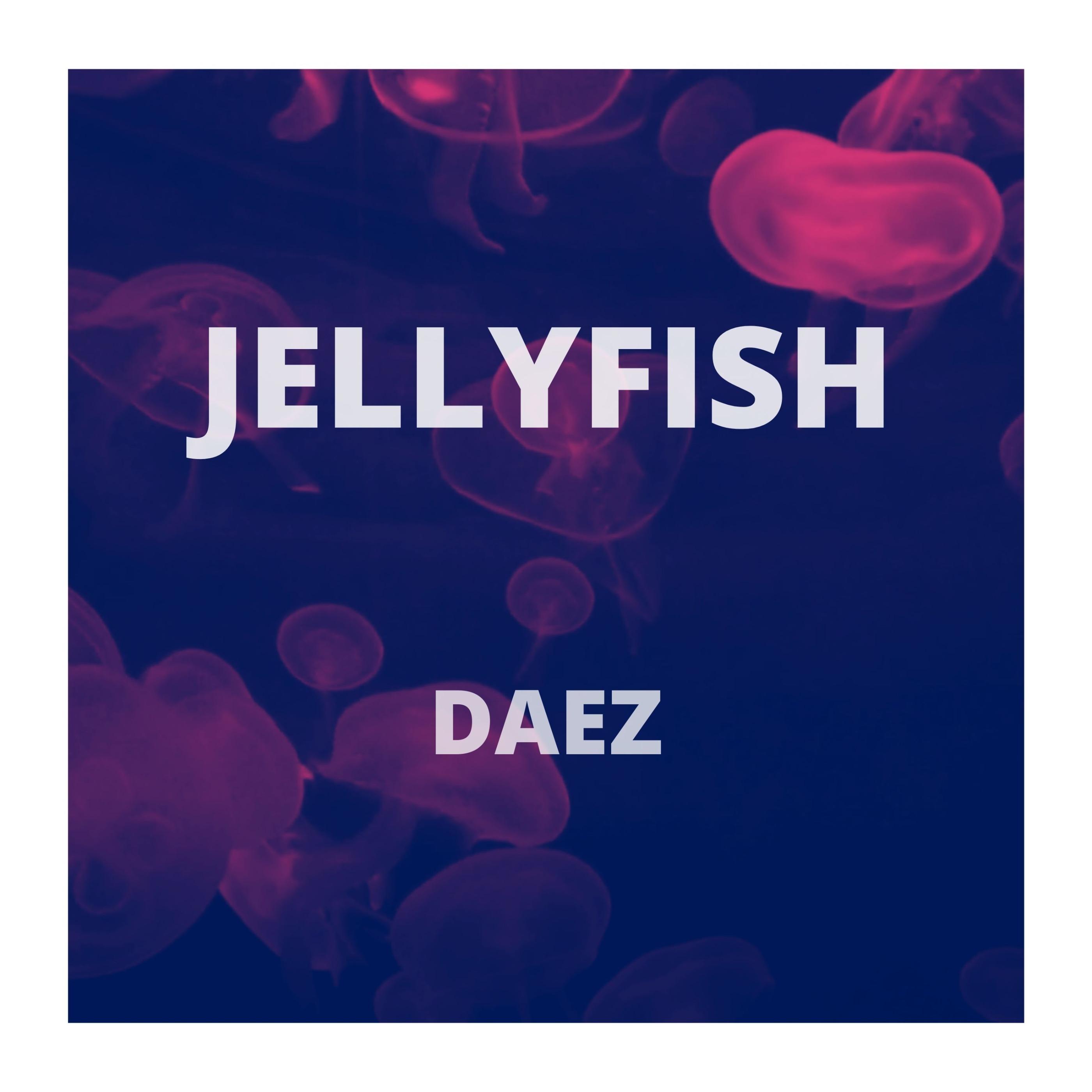 Jellyfish