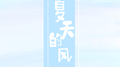 夏天的风专辑
