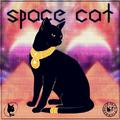 Space Cat