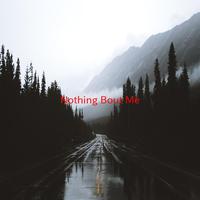 Nothing 'bout Me - Sting (SC karaoke) 带和声伴奏