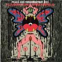 Peace And Paranoia Tour 2013专辑