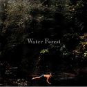 水の中の森专辑