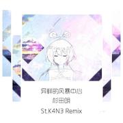 异样的风暴中心（St.K4N3 Remix)