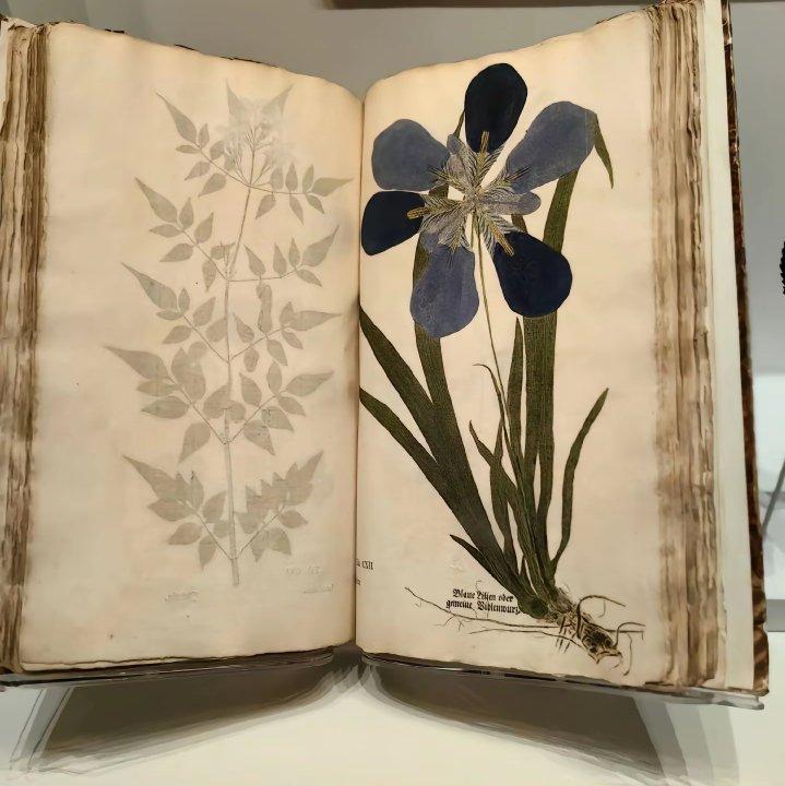 你我一生的涟漪 | 在线播放 | 网易云音乐