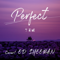 丁芙妮-Perfect(加前奏)（潮品好听引唱细节合声铺垫超清鼓力高音质）