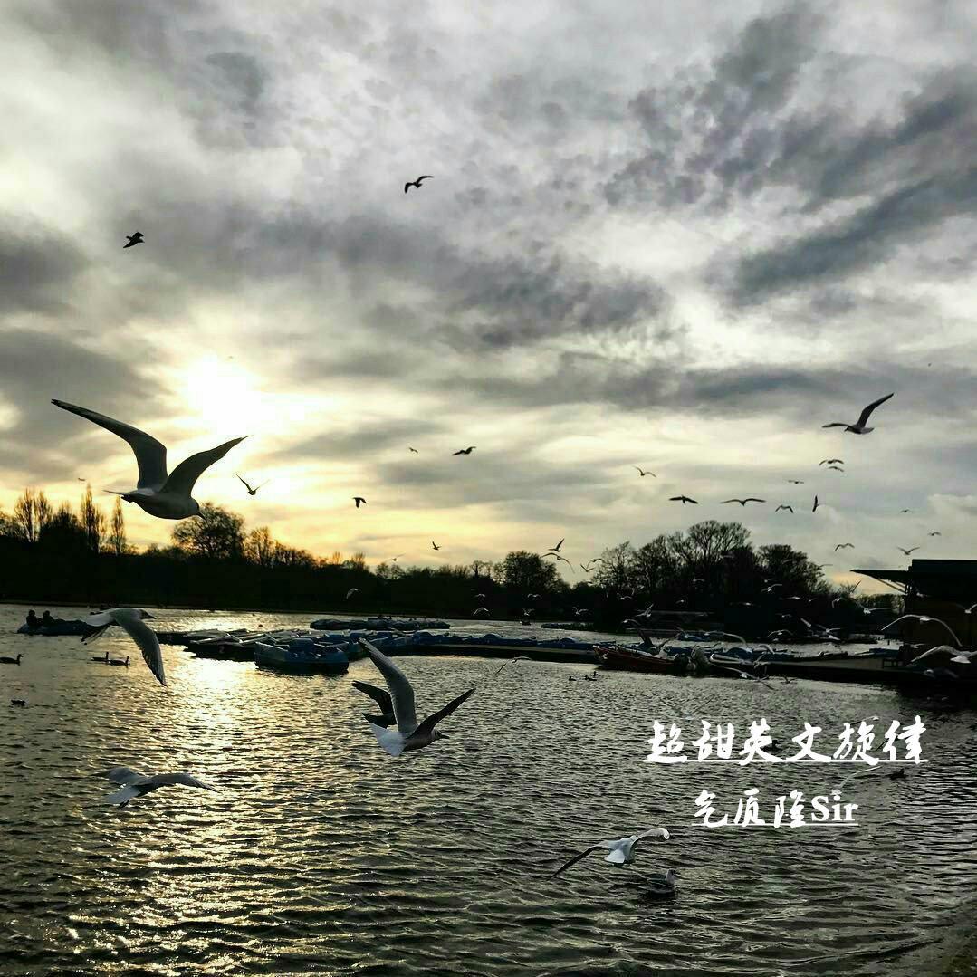 超甜英文旋律