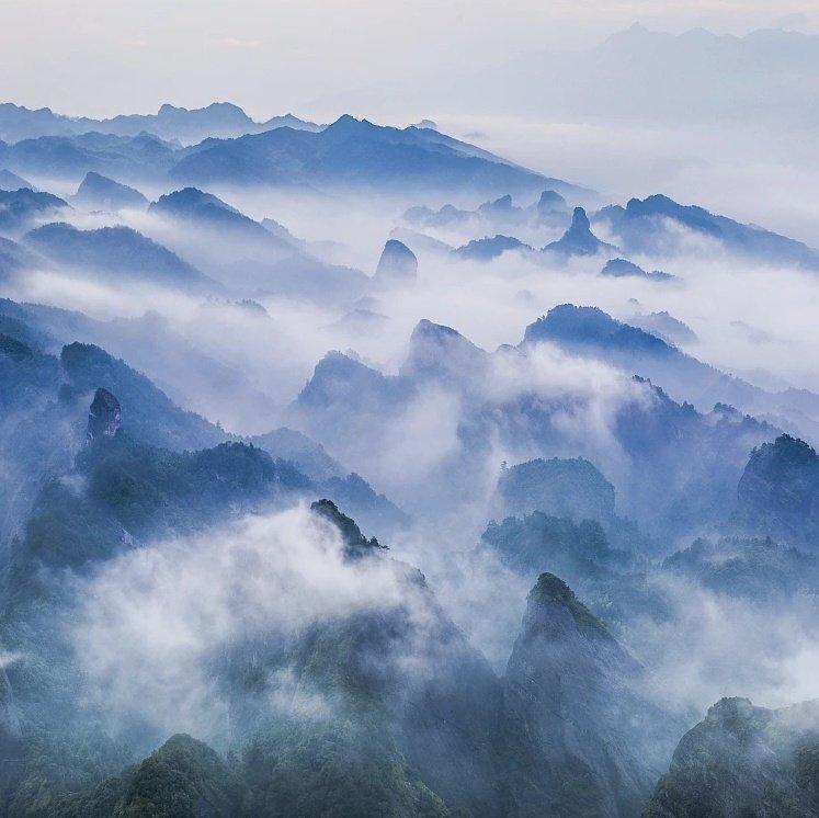 古琴 | 巫娜-茶佛一味