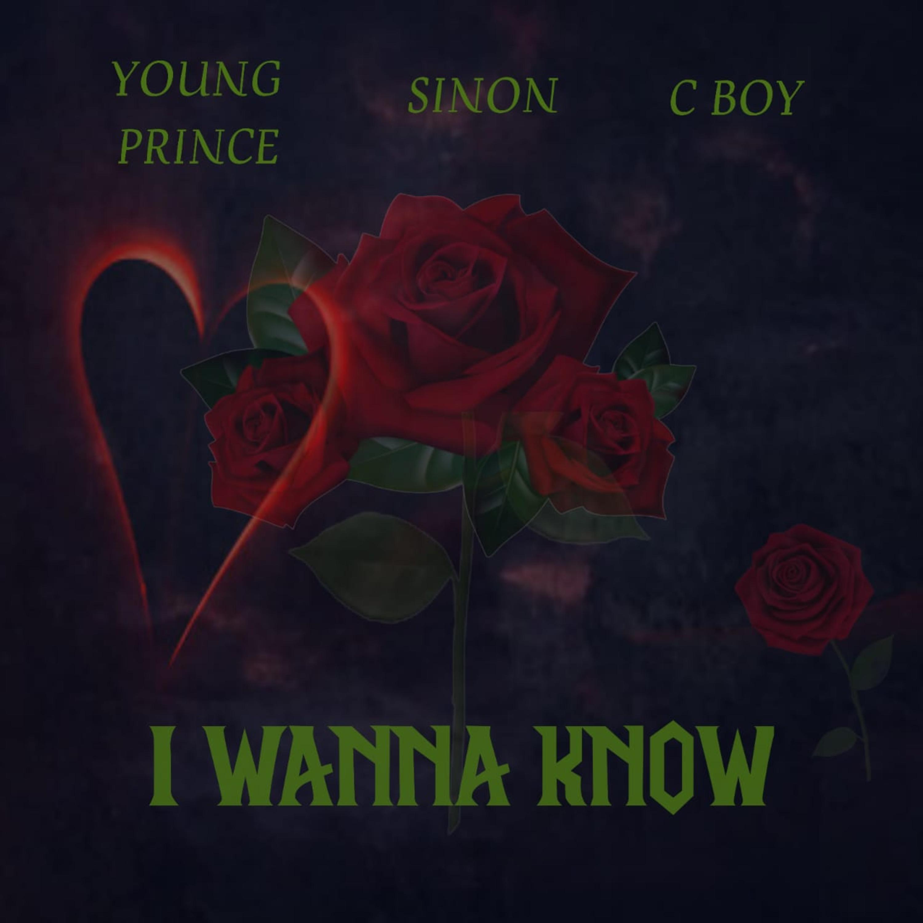 I WANNA KNOW (feat. SINON & C BOY)
