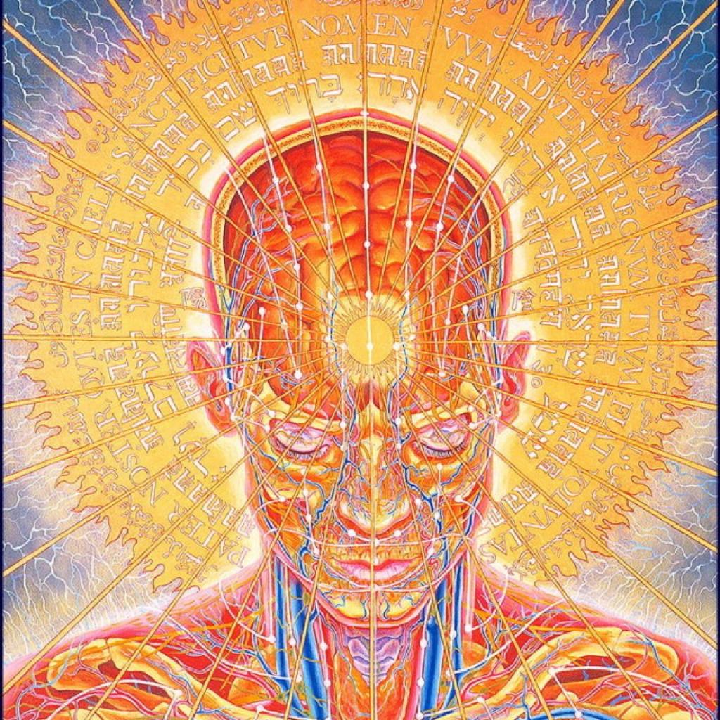 Trance丨恍惚出神音乐 - 歌单 - 网易云音乐