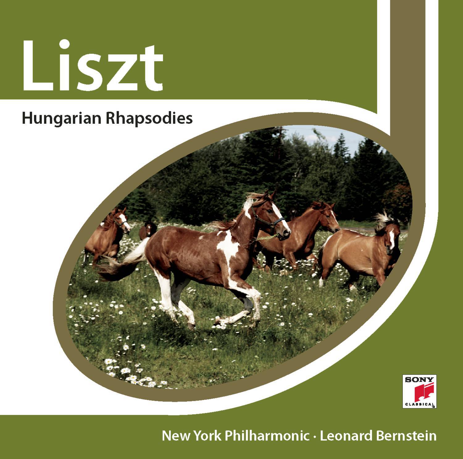 Liszt: Hungarian Rhapsodies专辑