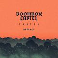 Cartel (Remixes)