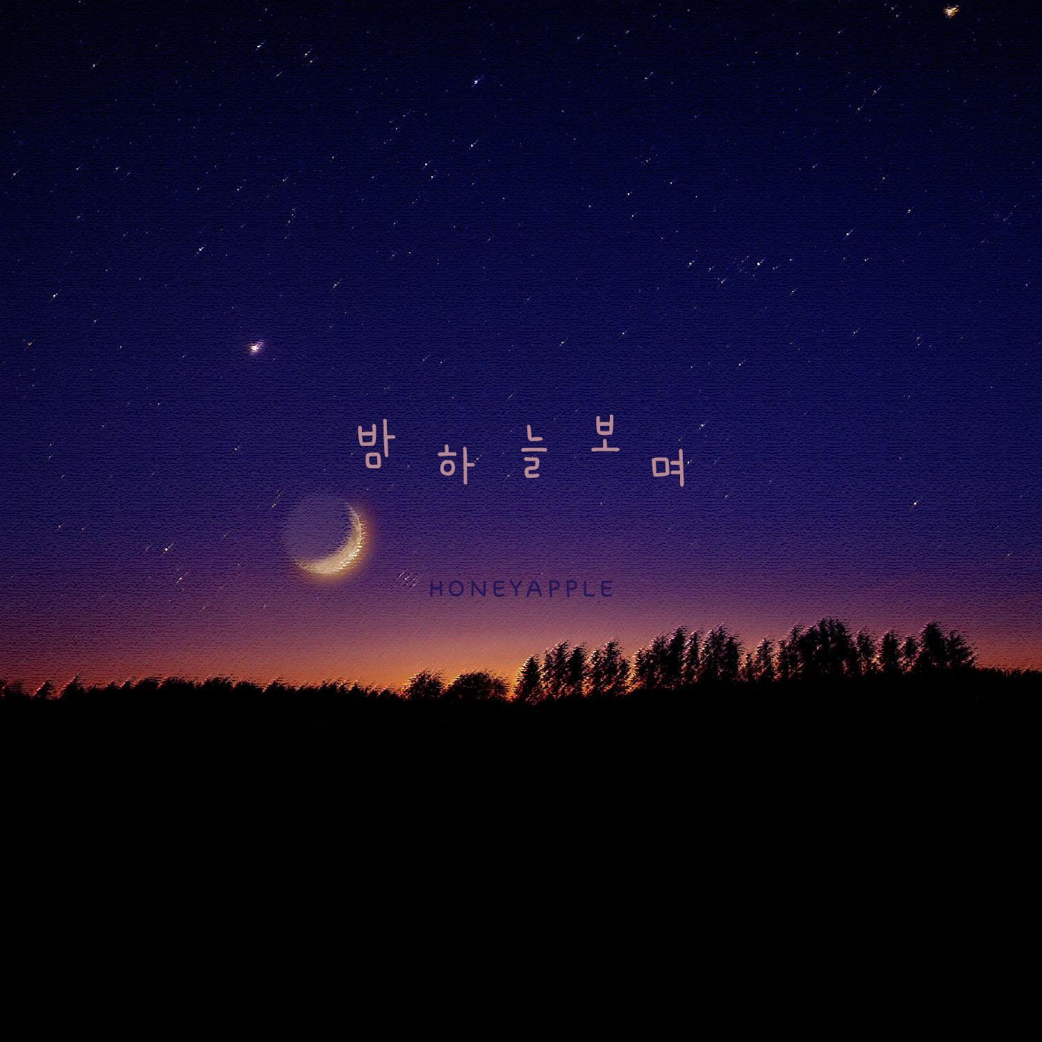 밤하늘 보며