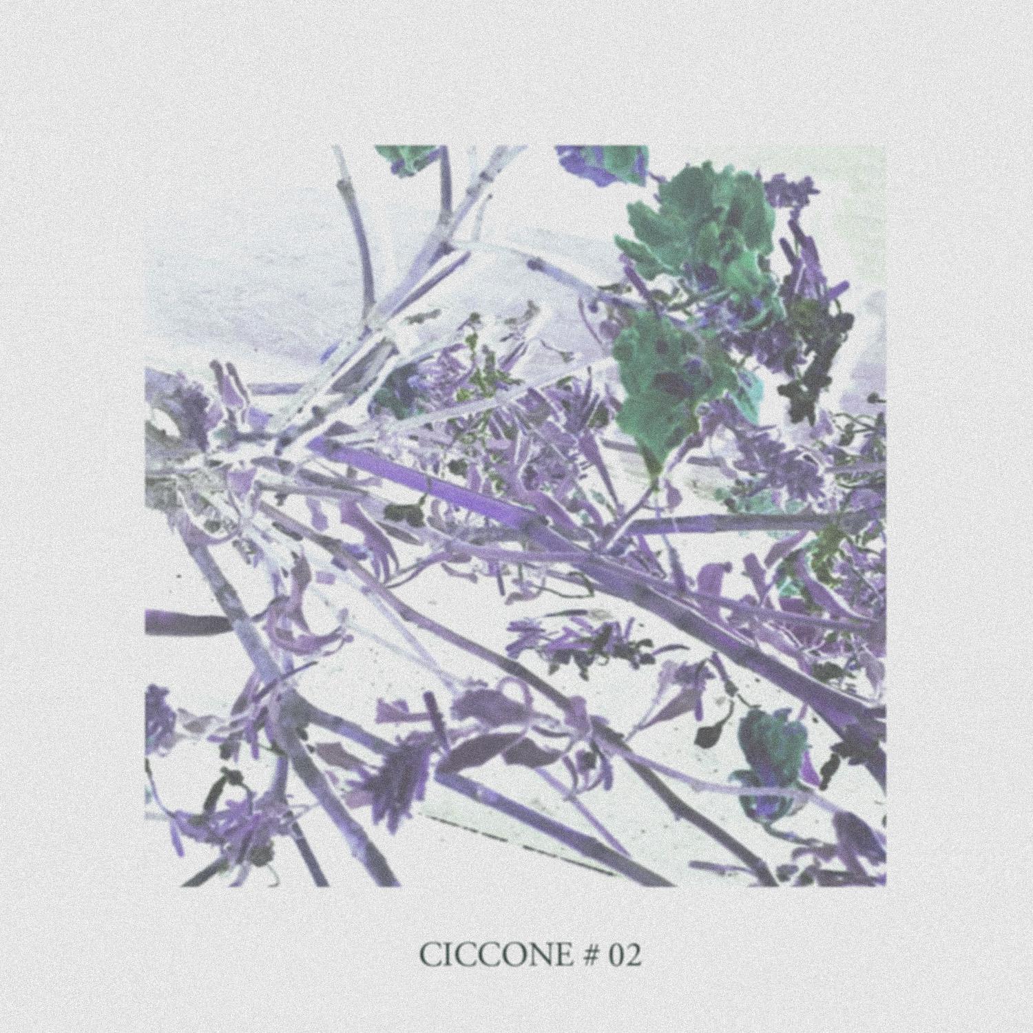 Ciccone #02专辑