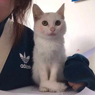 请再温柔一些。