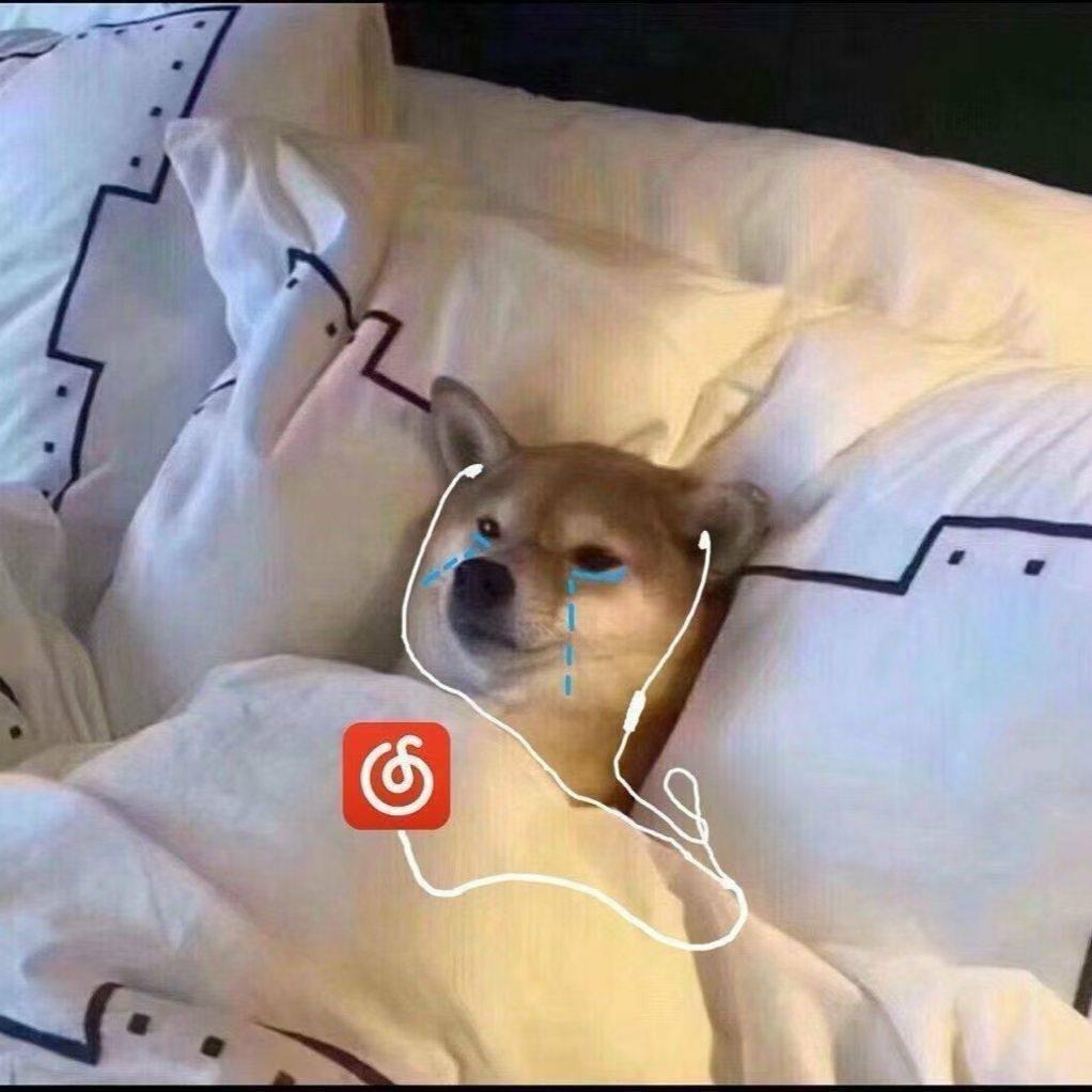 oylidig mu 想过吗