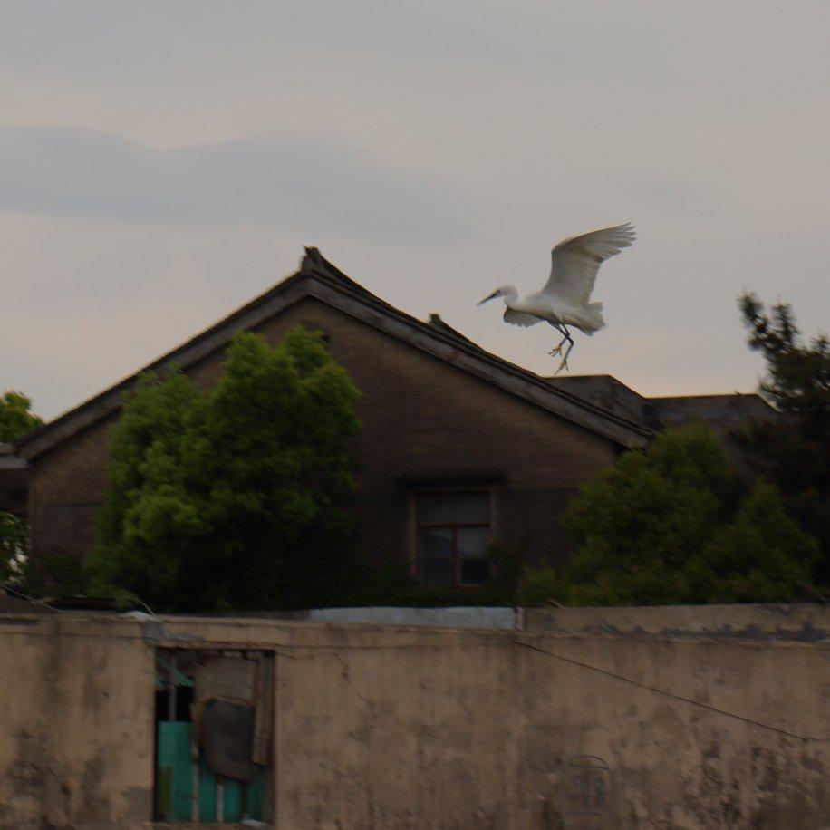 冷饿累困又孤单