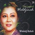 The Legend Waldjinah