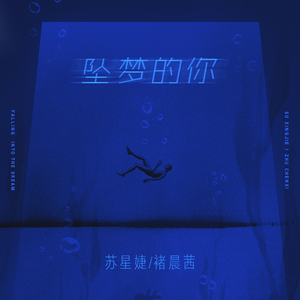 苏星婕、褚晨茜 - 坠梦的你（伴奏）