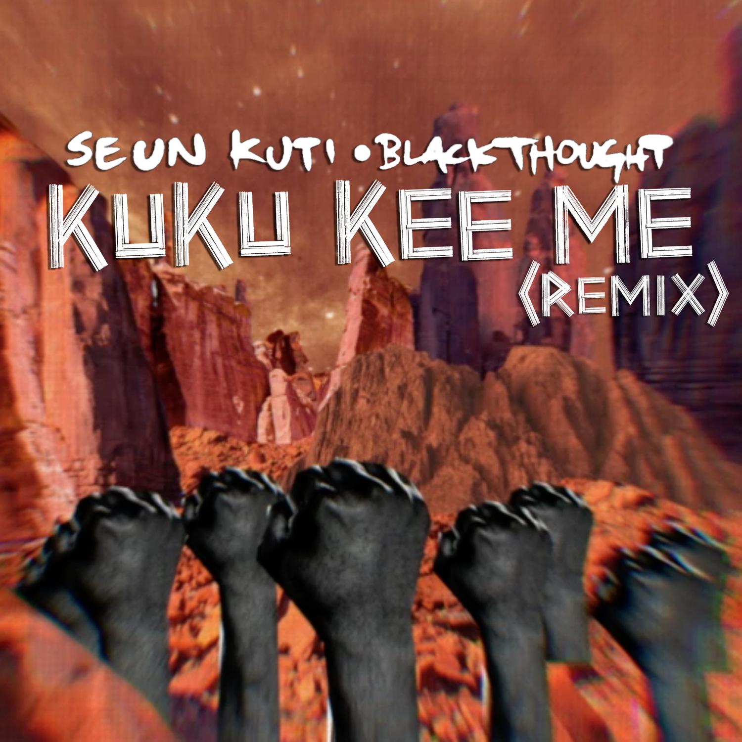 Seun Kuti - Kuku Kee Me (Remix)