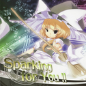 Sparking for You!!专辑