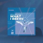 感知 What I See