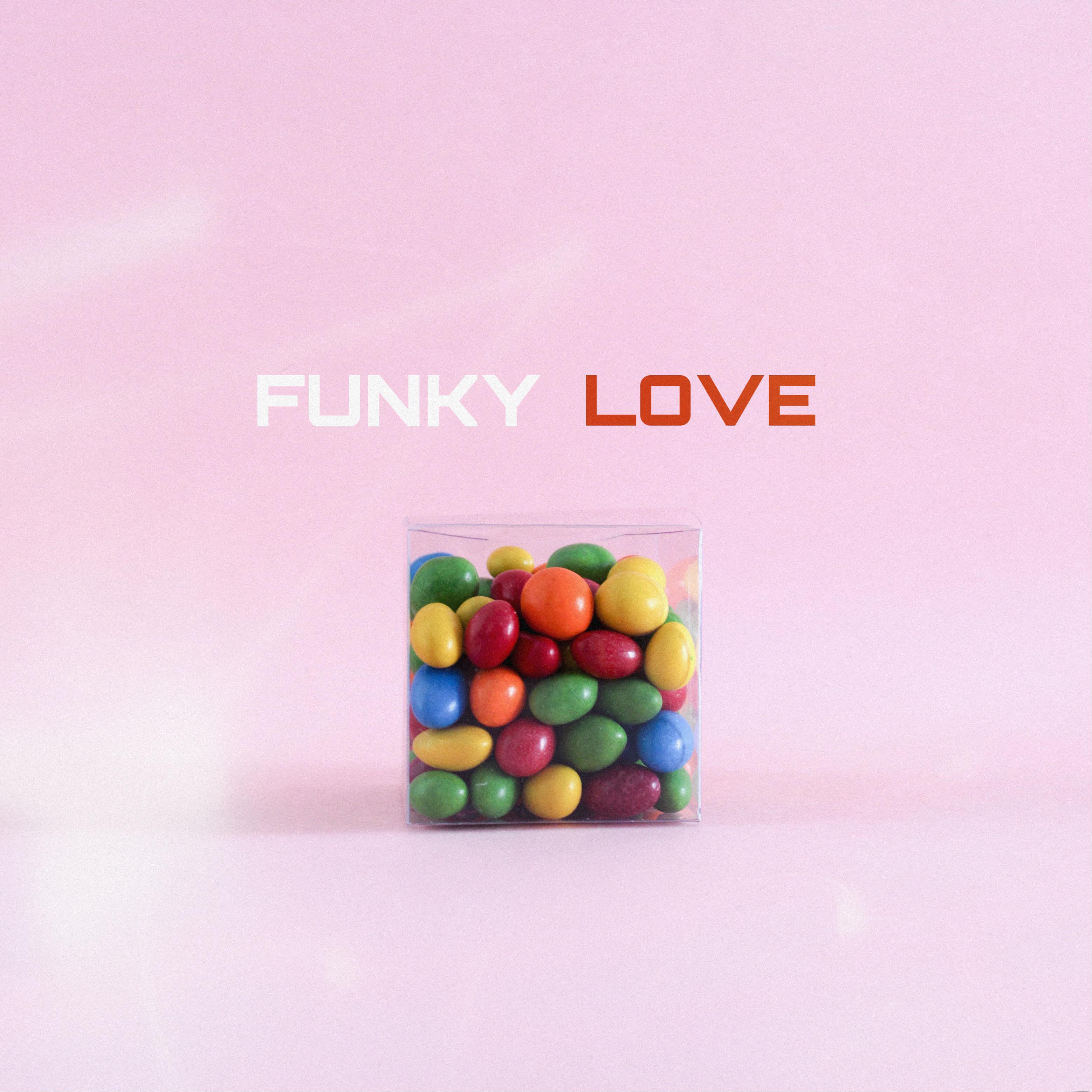 FUNKY LOVE封面