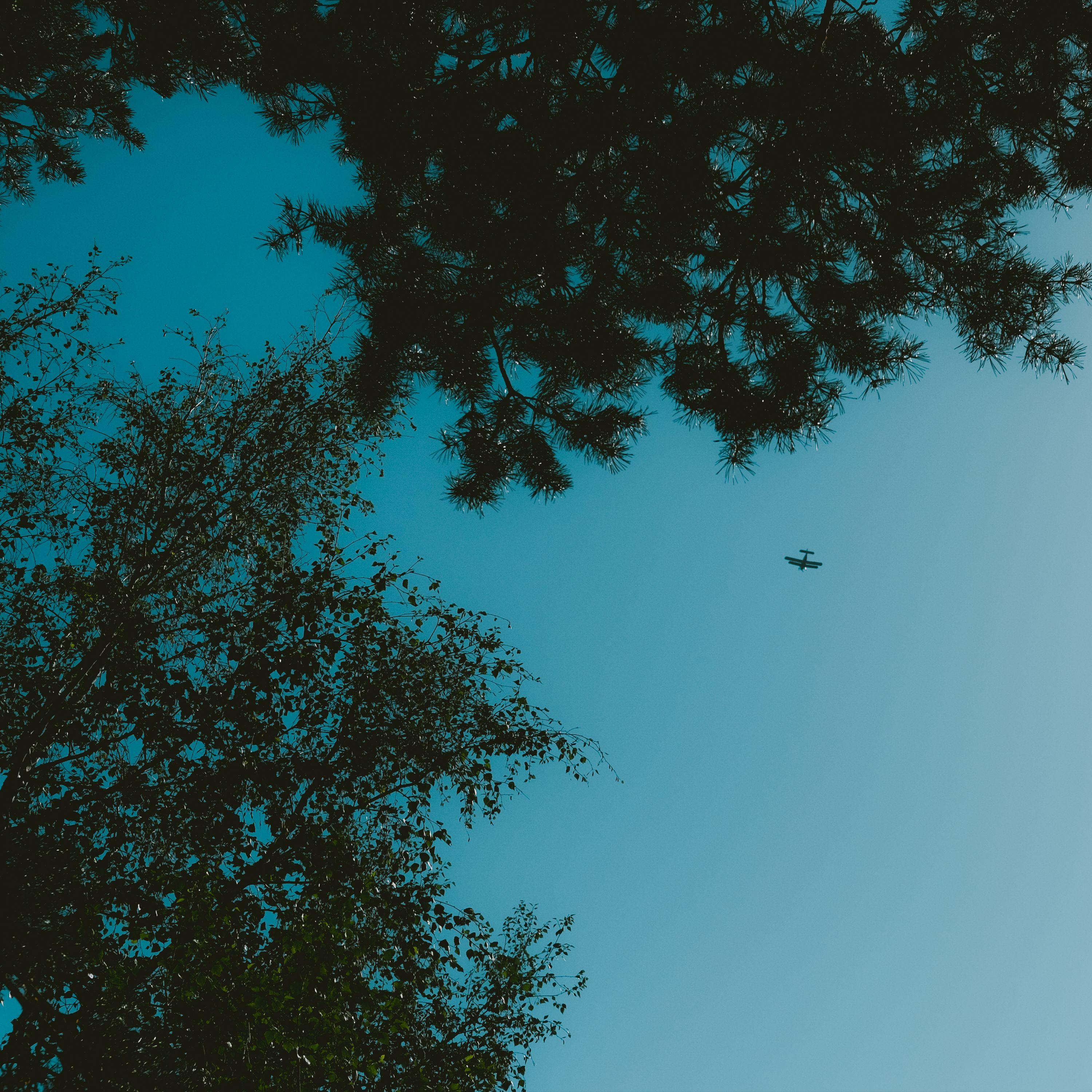 Hymn For The Weekend