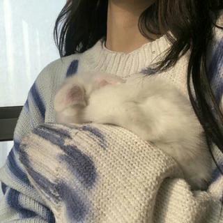 所有不合时宜的相遇都是遗憾