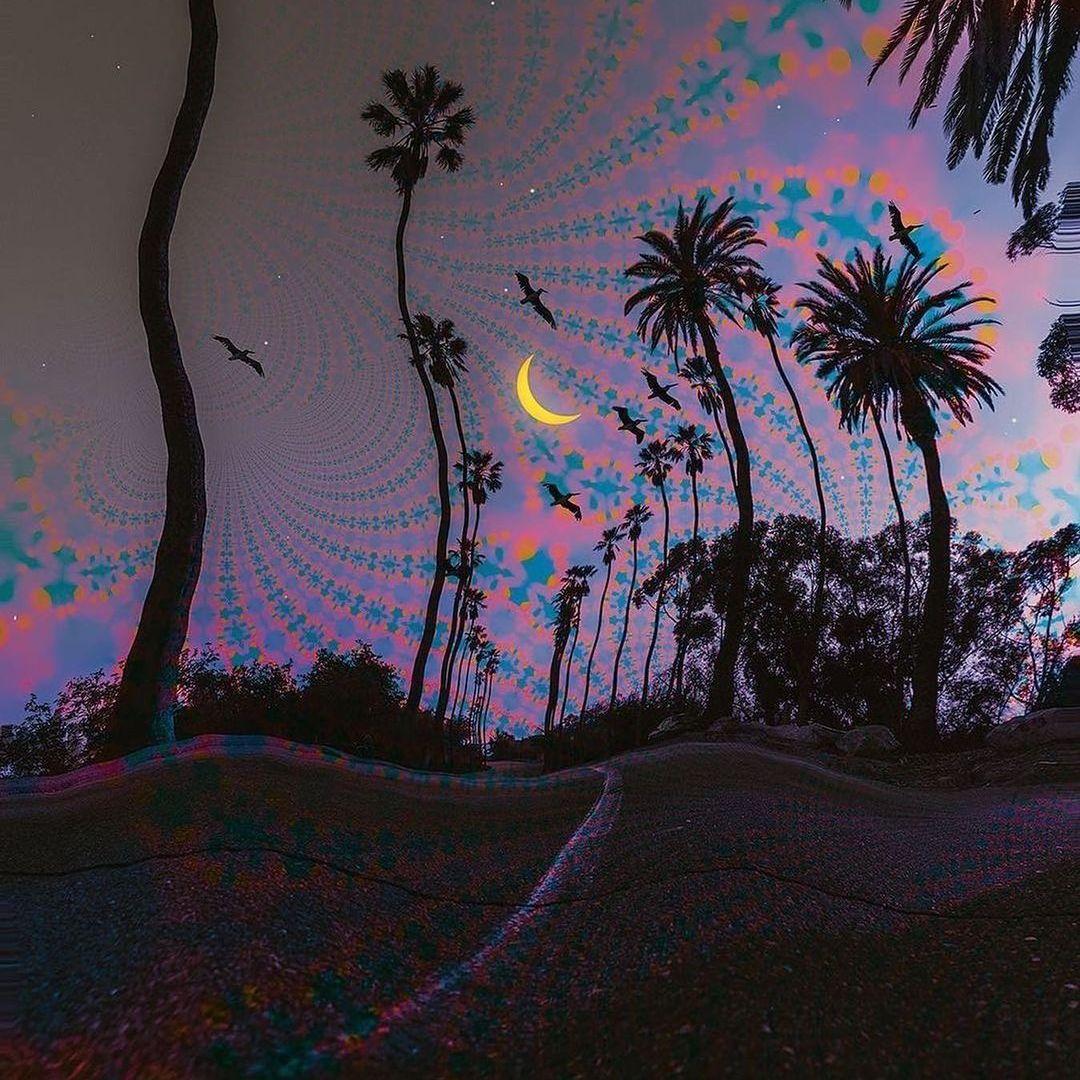 异境幻象Chinese Psychedelic