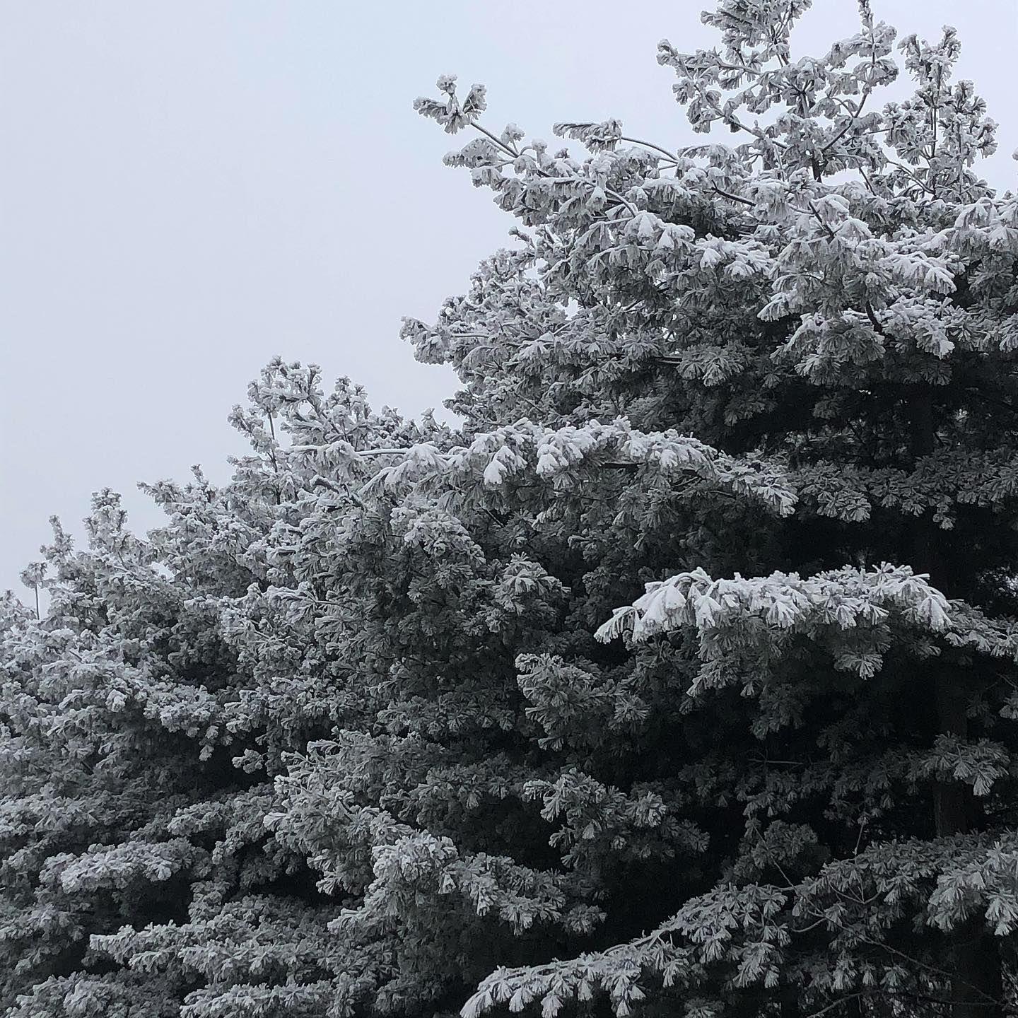 陈旭-哥只是一个传说（CVPPY remix）