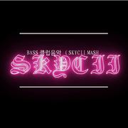 BASS 클럽음악 （SKYCII MASH UP)