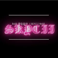 BASS 클럽음악 （SKYCII MASH UP)