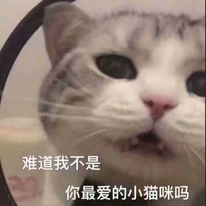 心尖儿专辑