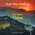 Feel The Feeling Vol.Special 中国新曙光